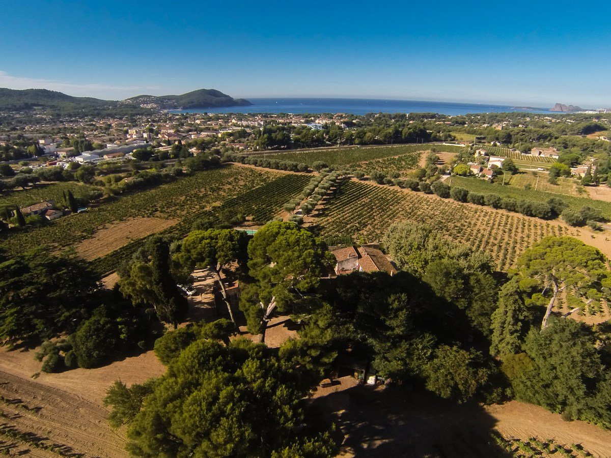 Bodegas de Francia - Doble Magnum Vinos, image size:1200x900